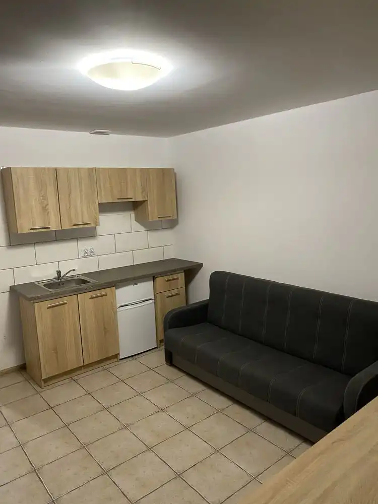 Mieszkanie jednopokojowe za 1200 od 1 grudnia