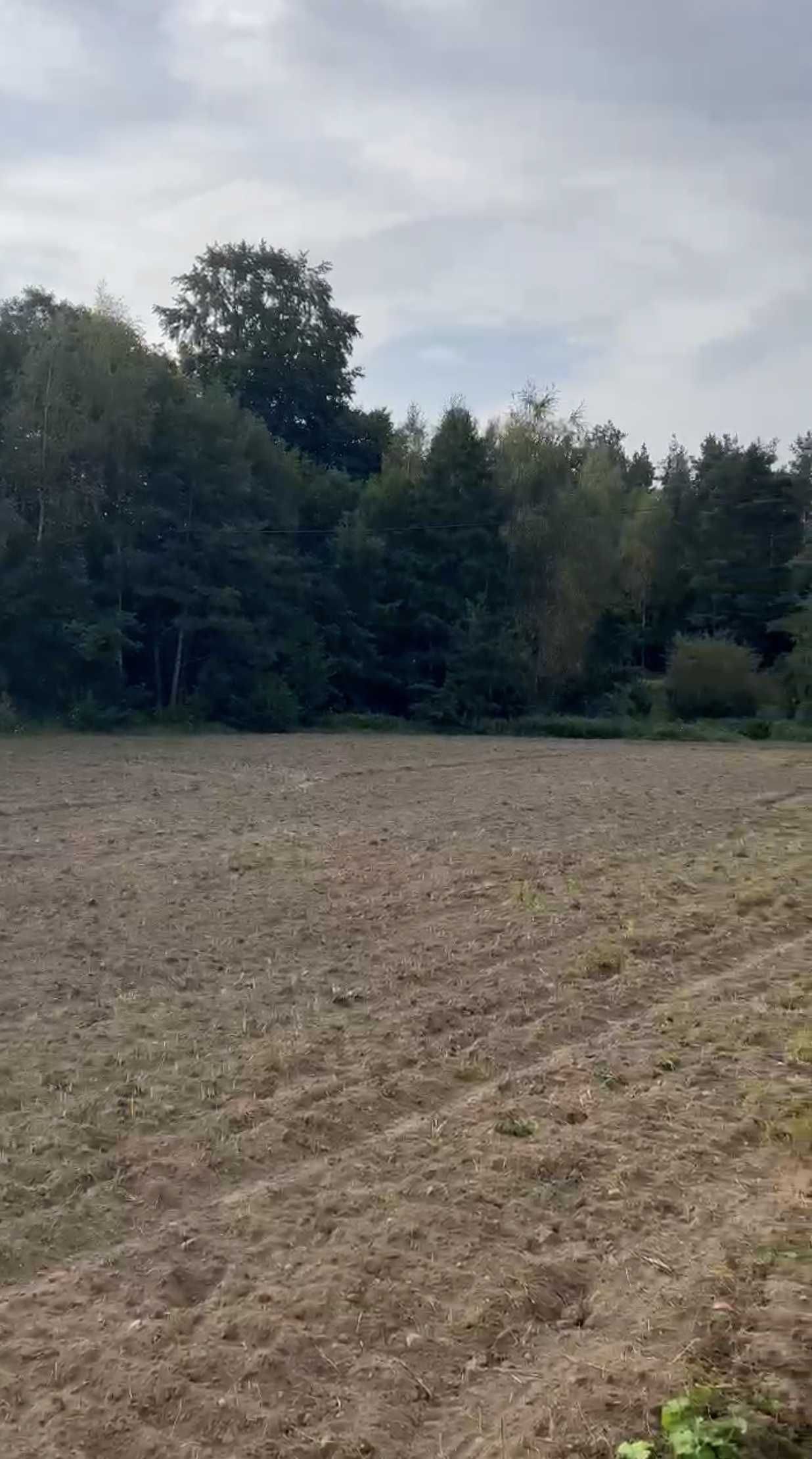 Zdjęcie ogłoszenia 5