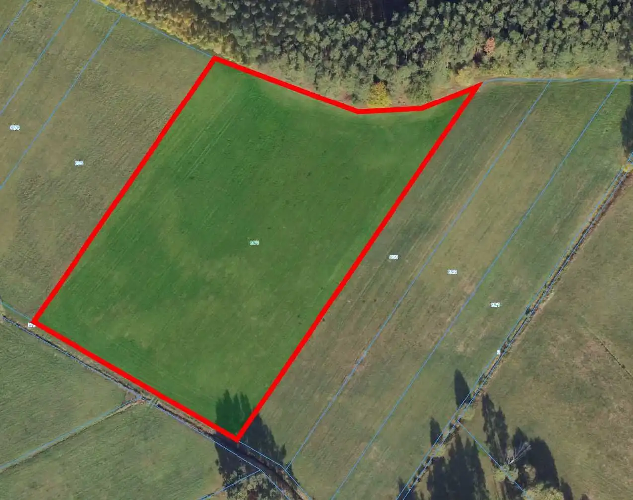 Sprzedam grunty rolne o pow. 2,3123 ha g. Zakrzewo ob.Drożyska Wielkie