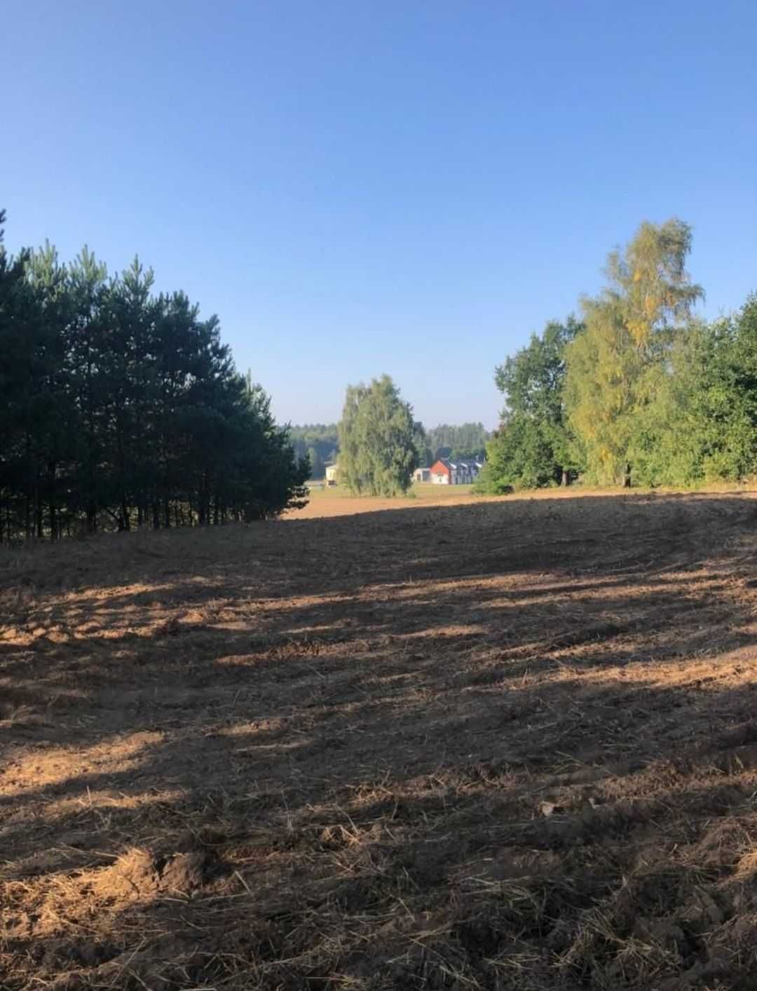 Zdjęcie ogłoszenia 2