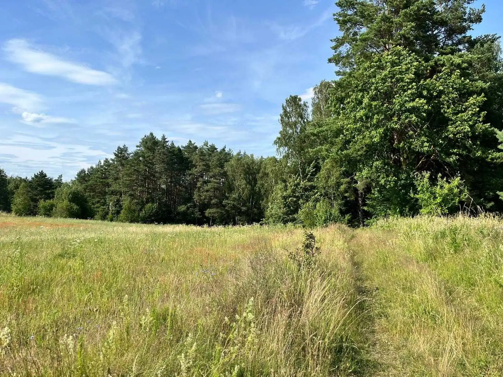 Świerkocin - działka rekreacyjna z MPZP w turystycznej okolicy